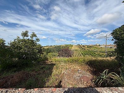 listing-picture-0