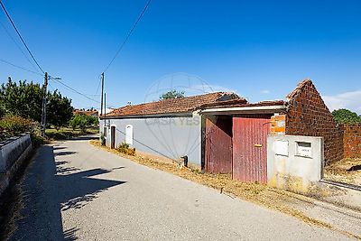 listing-picture-0