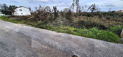 listing-picture-0