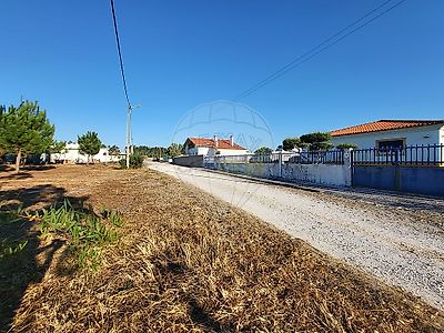 listing-picture-0