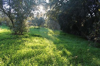 listing-picture-0
