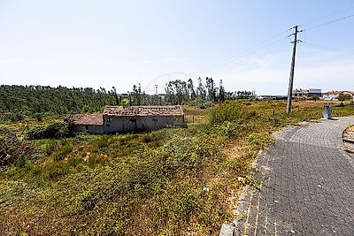 listing-picture-0