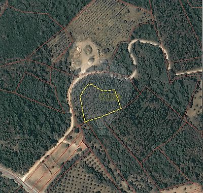 listing-picture-0