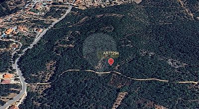 listing-picture-0