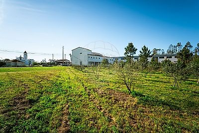 listing-picture-0