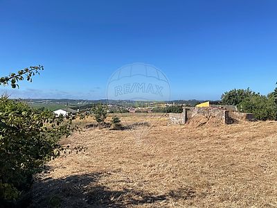 listing-picture-0