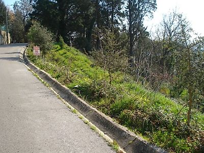 listing-picture-0