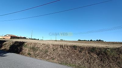 listing-picture-0