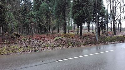 listing-picture-0