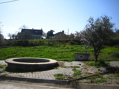 listing-picture-0