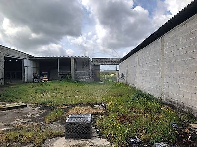 listing-picture-0