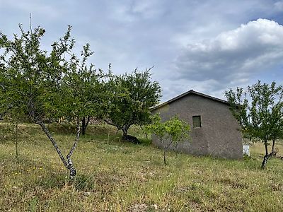listing-picture-0
