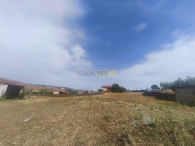listing-picture-0