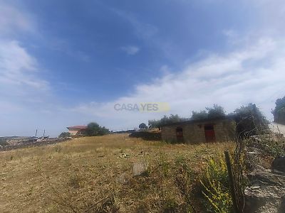 listing-picture-0