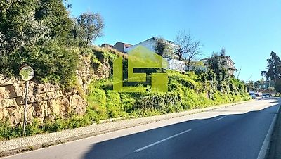 listing-picture-0