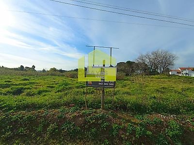 listing-picture-0