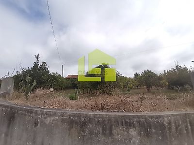 listing-picture-0