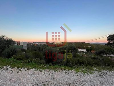 listing-picture-0