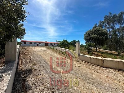 listing-picture-0