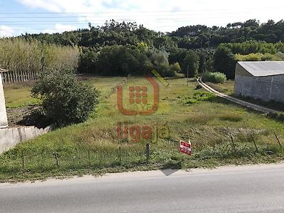 listing-picture-0