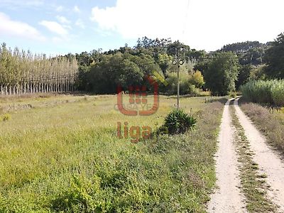 listing-picture-0