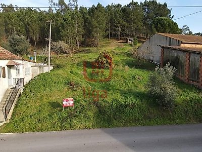 listing-picture-0