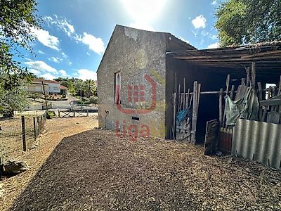 listing-picture-0