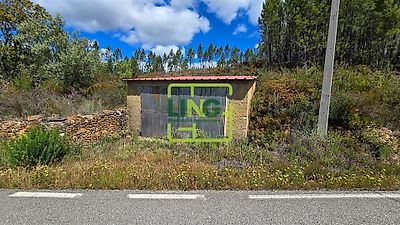 listing-picture-0
