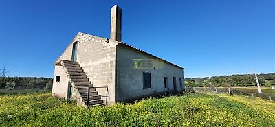 listing-picture-0
