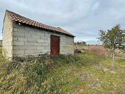 listing-picture-0