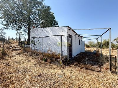 listing-picture-0