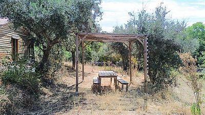 listing-picture-0