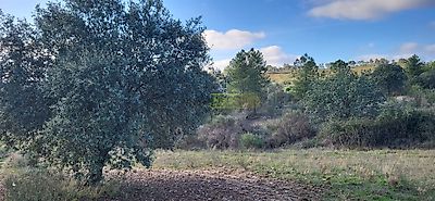 listing-picture-0