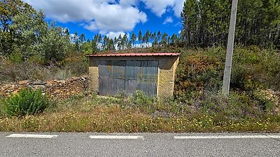 listing-picture-0