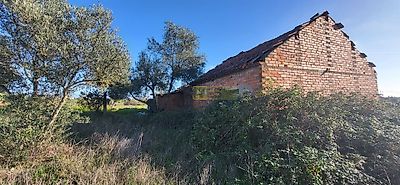 listing-picture-0