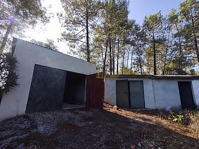 listing-picture-0