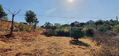 listing-picture-0