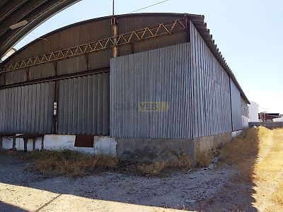 listing-picture-0