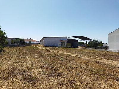 listing-picture-0