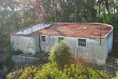 listing-picture-0