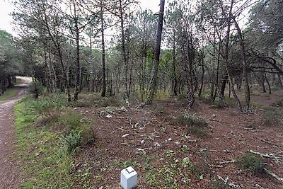listing-picture-0