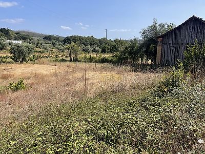 listing-picture-0