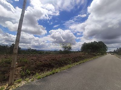 listing-picture-0