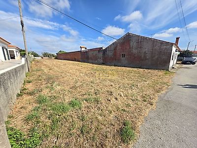 listing-picture-0