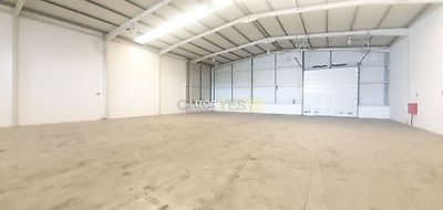 listing-picture-0
