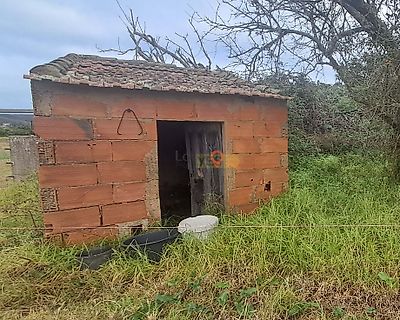 listing-picture-0