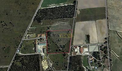 listing-picture-0