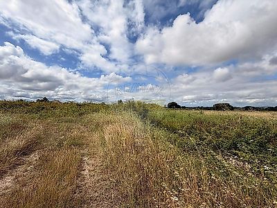 listing-picture-0