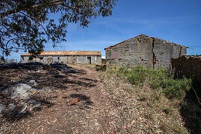 listing-picture-0