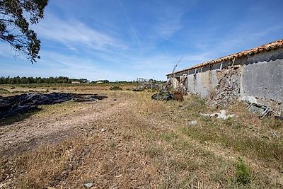 listing-picture-0